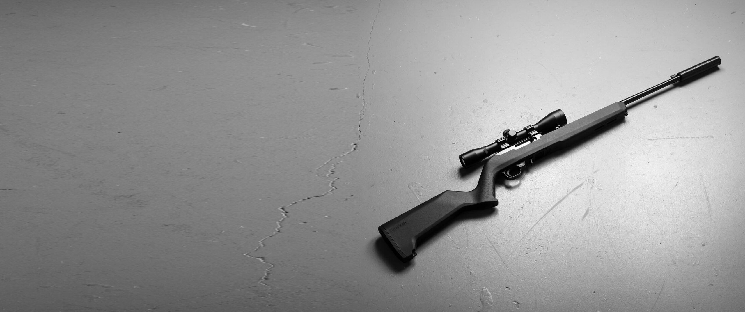 Ruger 10/22 MOE Carbine Package