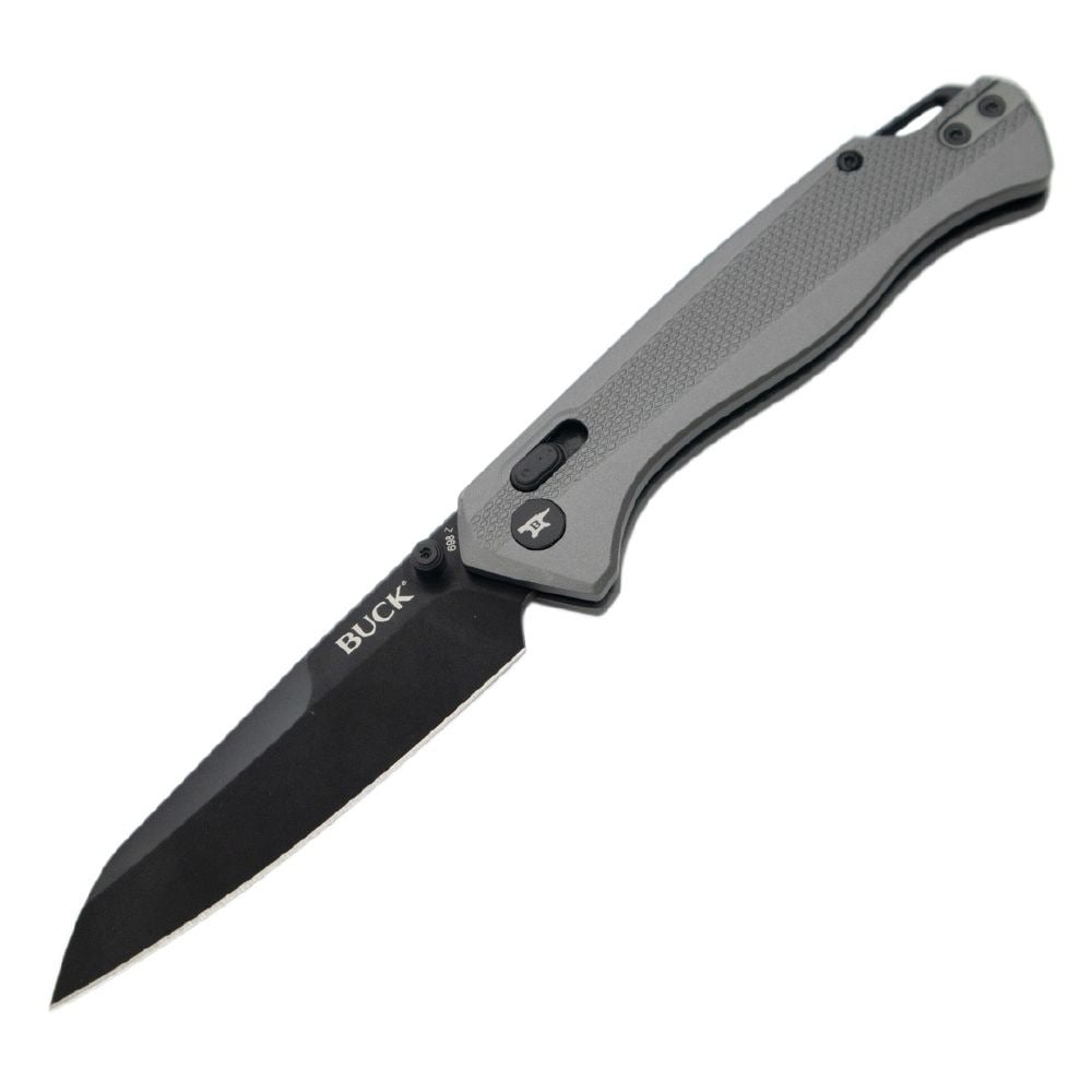 Buck 698 Ferrox Silver