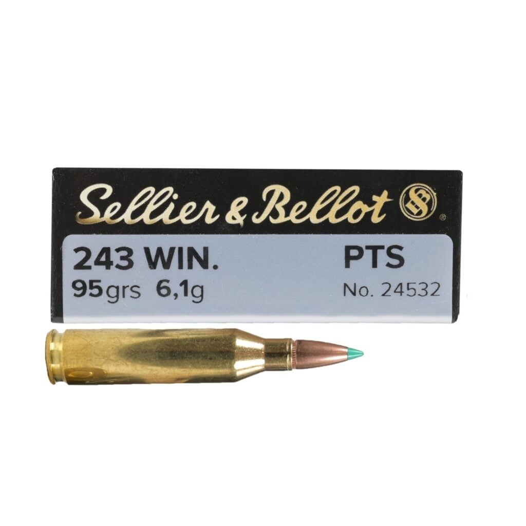 SEL&BEL 243 95GR PTS 20RND